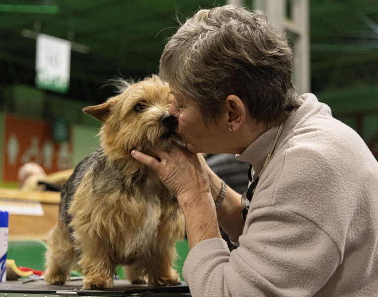 Crufts 2024 13 fantastic photos of the pooches as Best in Show