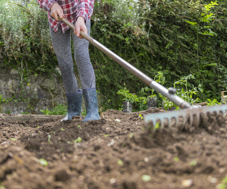 How to sow seeds outdoors successfully in 7 simple steps