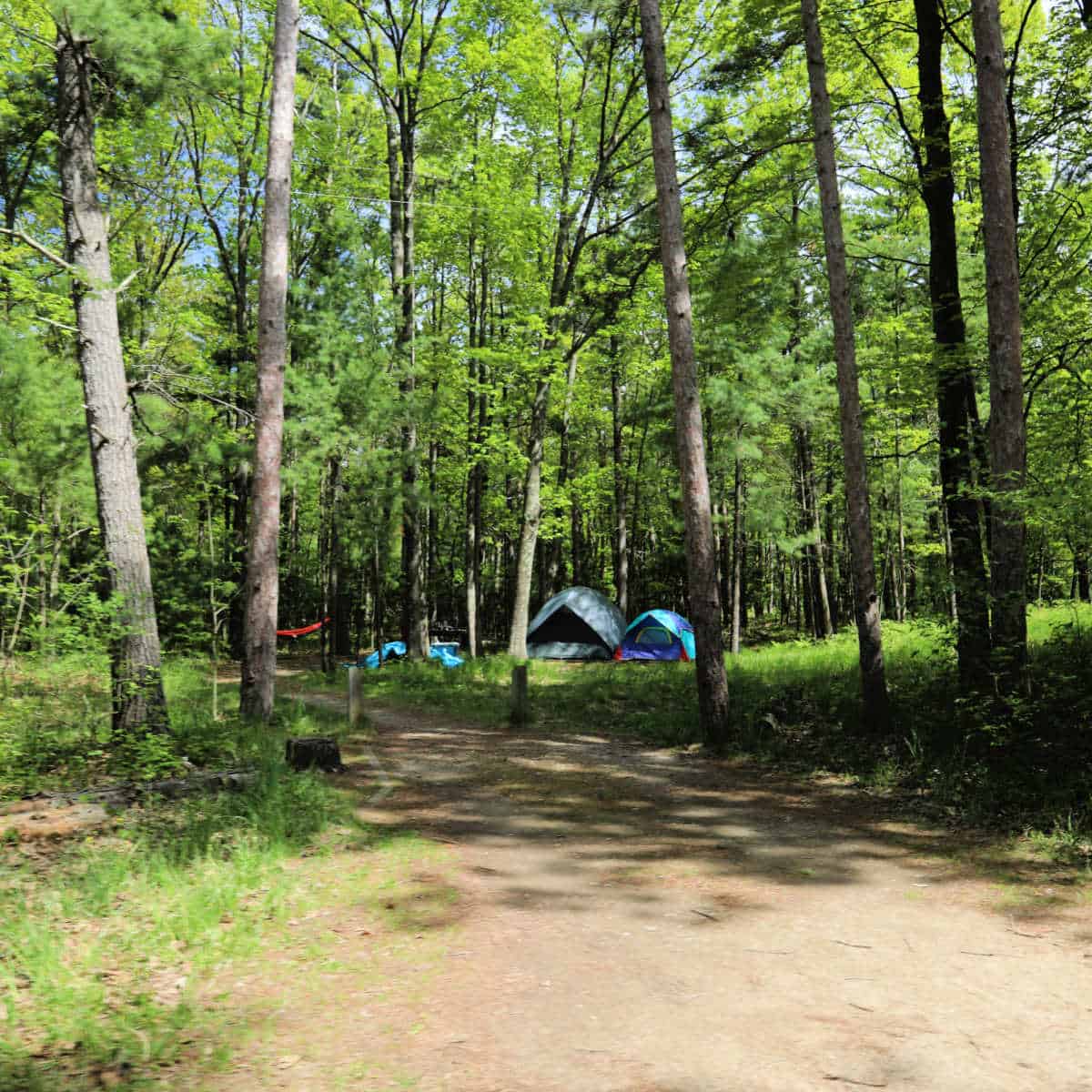 Sleeping Bear Dunes Camping Guide - BB1jDVWt.img