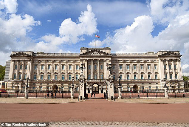 Dramatic moment car crashes into Buckingham Palace gates as armed ...