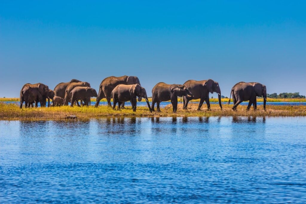 <p>Known for its large elephant herds and river-based wildlife viewing.</p>