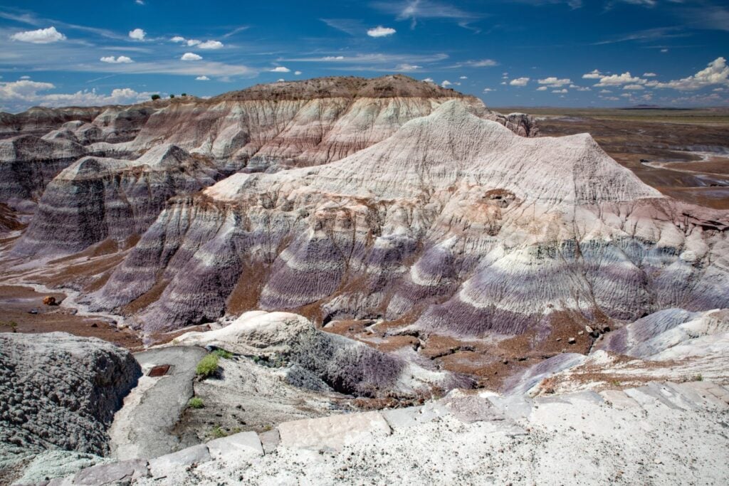<p>Known for its fascinating fossils and the colorful Painted Desert.</p>