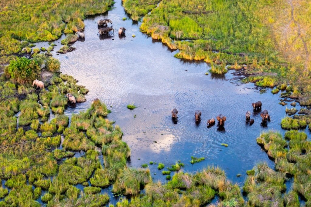 <p>Known for its rich biodiversity and unique water-based safari experiences.</p>