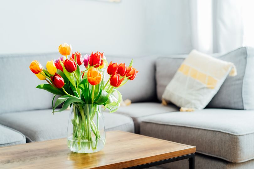 mother's day tulip trick could see the blooms last for up to two weeks, according to expert