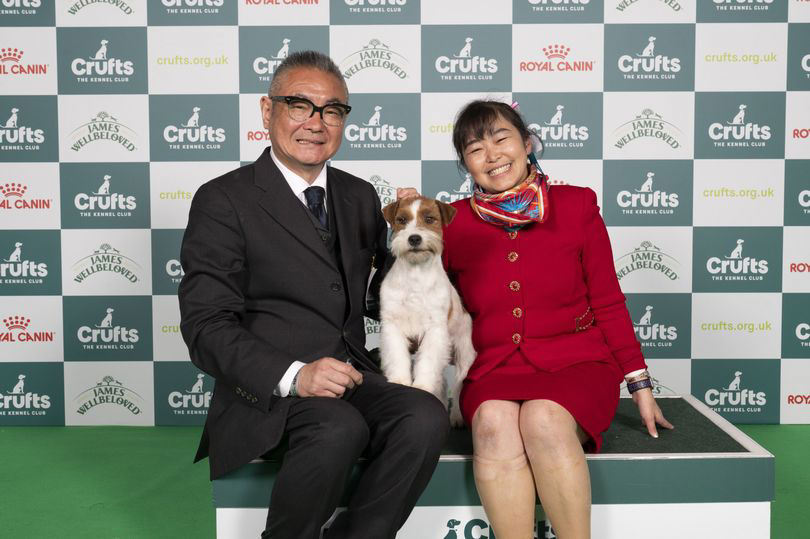 Crufts 2024 Day 4 results for Terrier, Hound and Best in Show winners