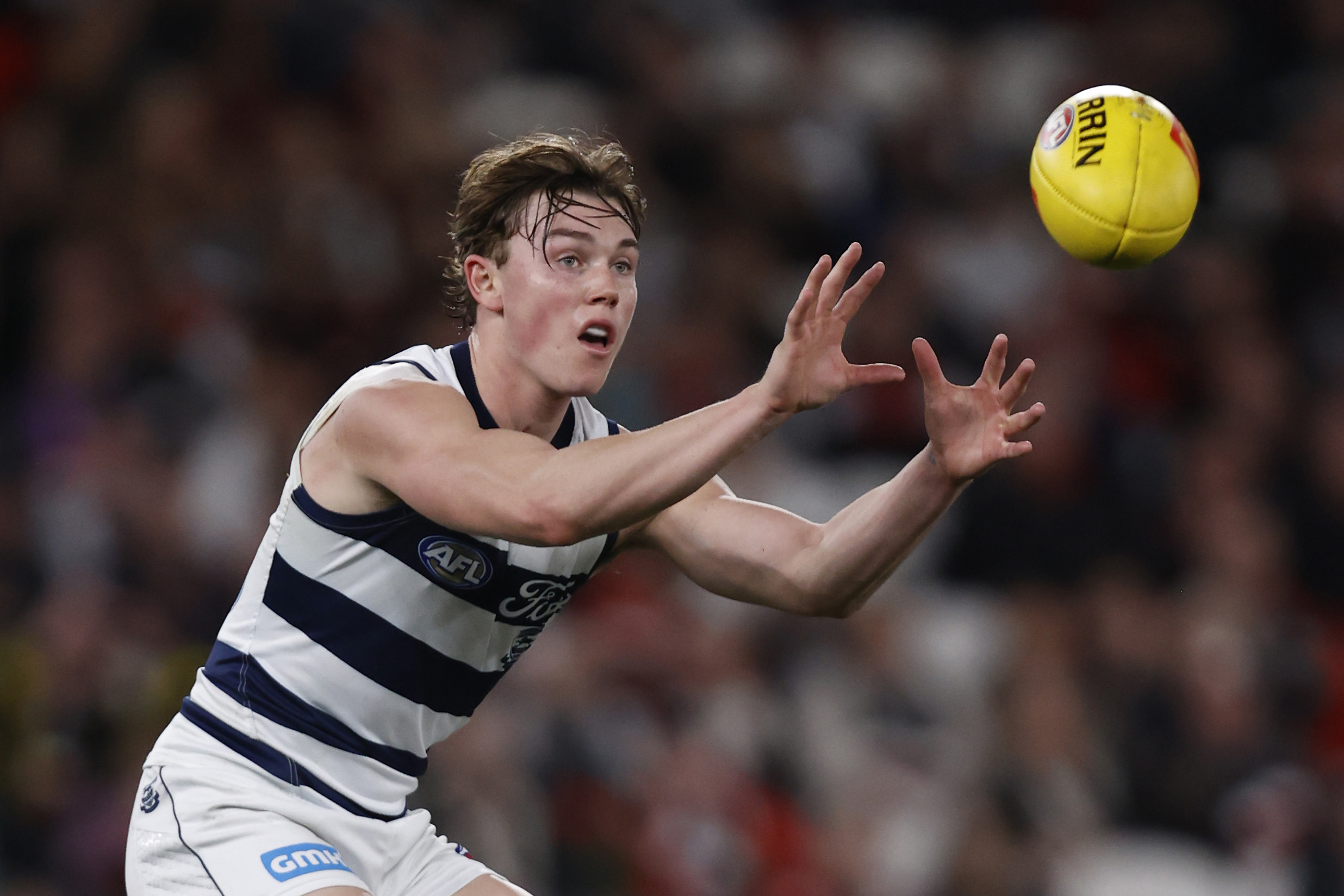young gun's big call on new cats generation
