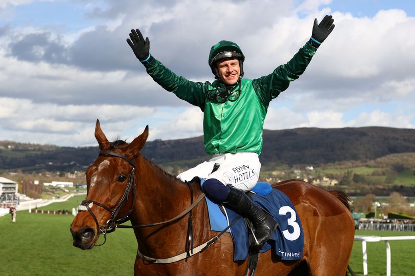 Bankers And Outside Shots - Ten Horses To Follow At The 2024 Cheltenham ...