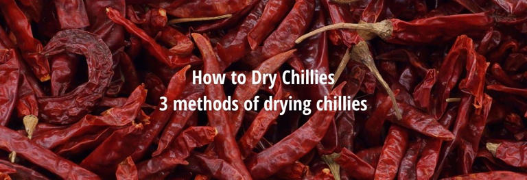 How To Dry Chillies [3 Chilli Drying Methods]