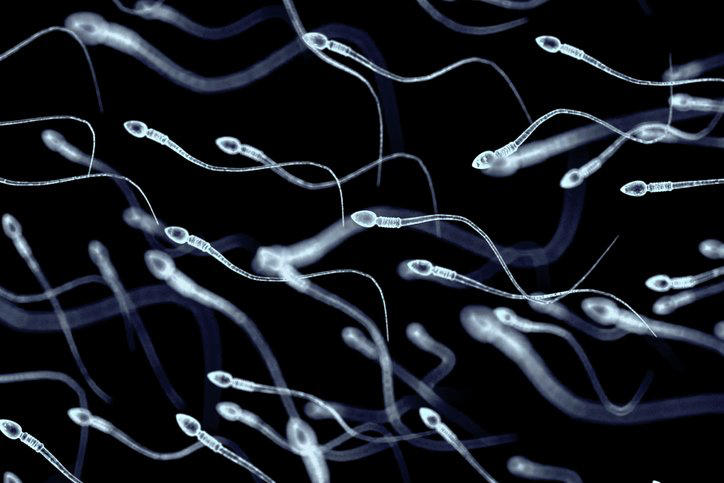 精子は放出するたび「フレッシュ」ではない 世界中で｢精子劣化｣の現実 父の加齢が子に及ぼす影響