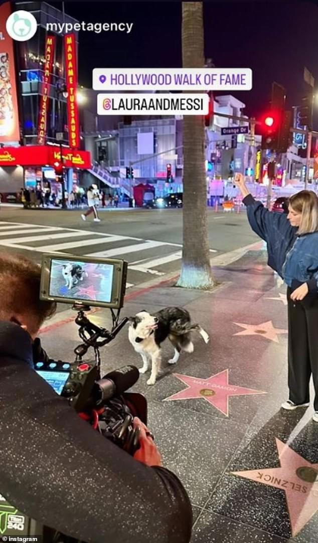 How Oscars crew filmed Messi the dog from Anatomy of a Fall before ...