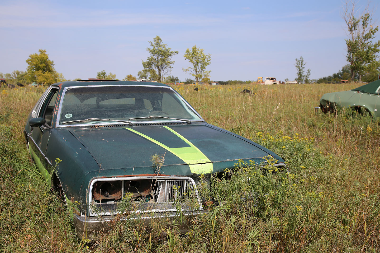 Junkyard Discoveries of Windy Hill Auto Parts in New London, Minnesota