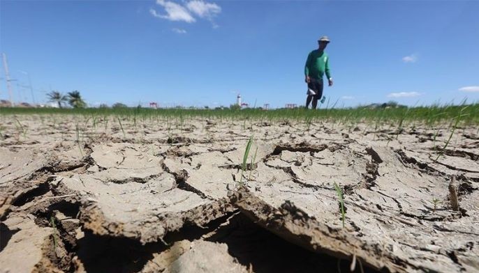 Agriculture Losses Due To El Niño Hit P1.23 Billion