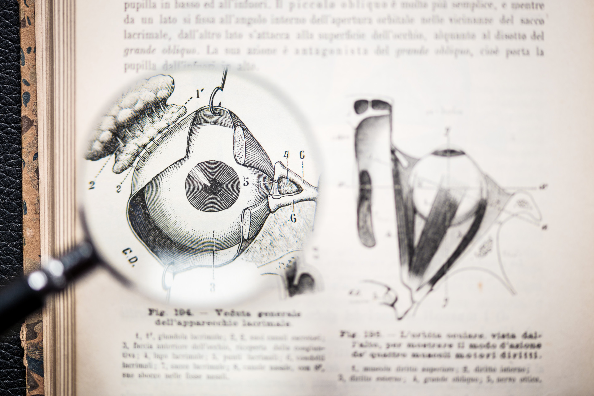 Skin cancer everything you should know
