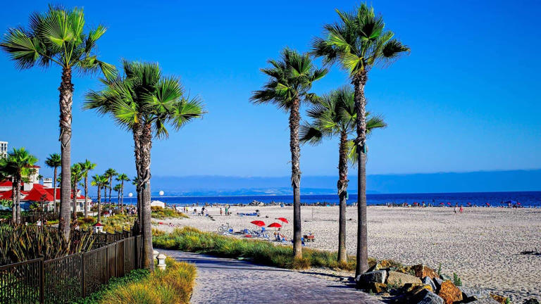 12 Best Beaches In San Diego For Families