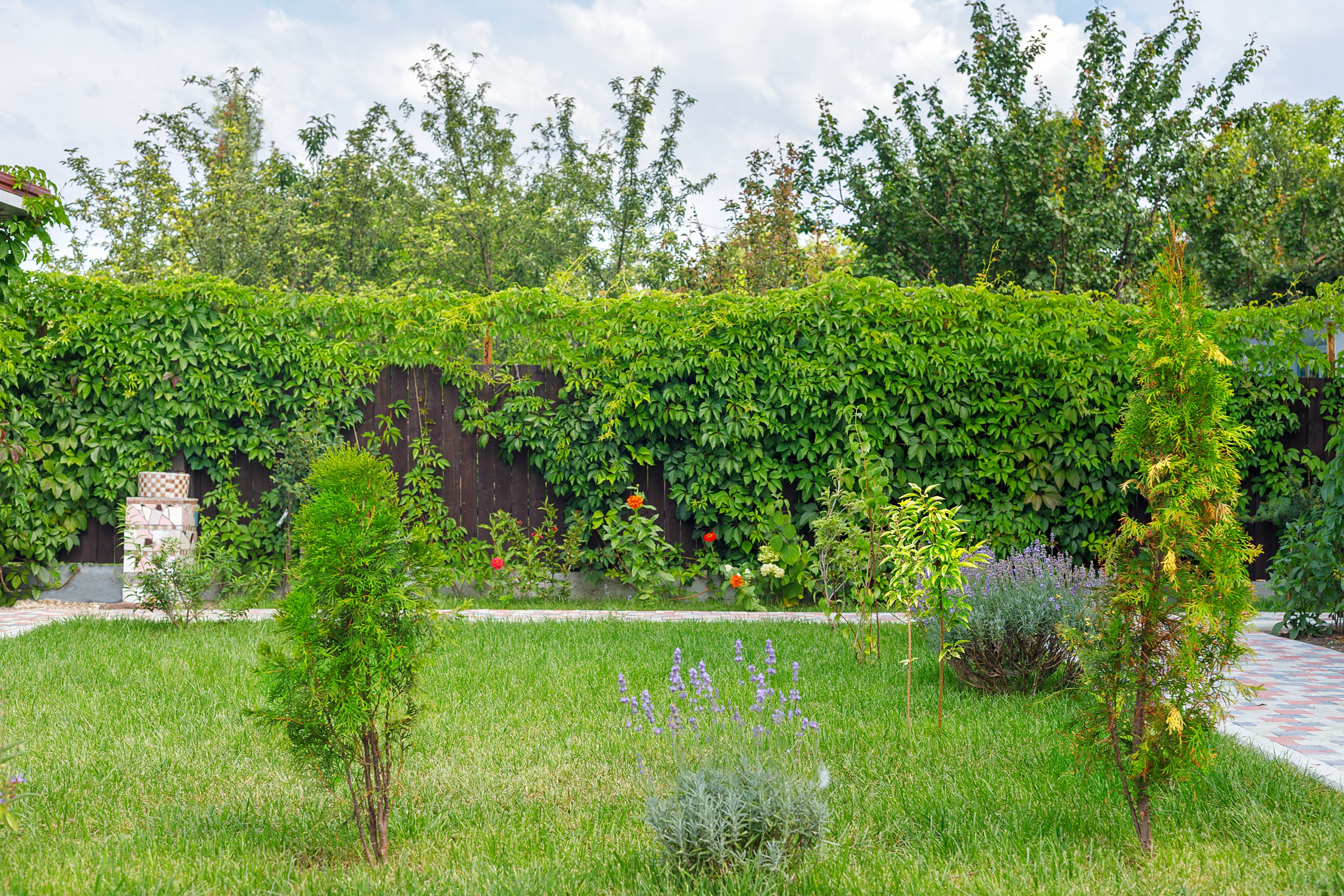 50 Privacy Fence Ideas To Stylishly Seclude Your Outdoor Sanctuary