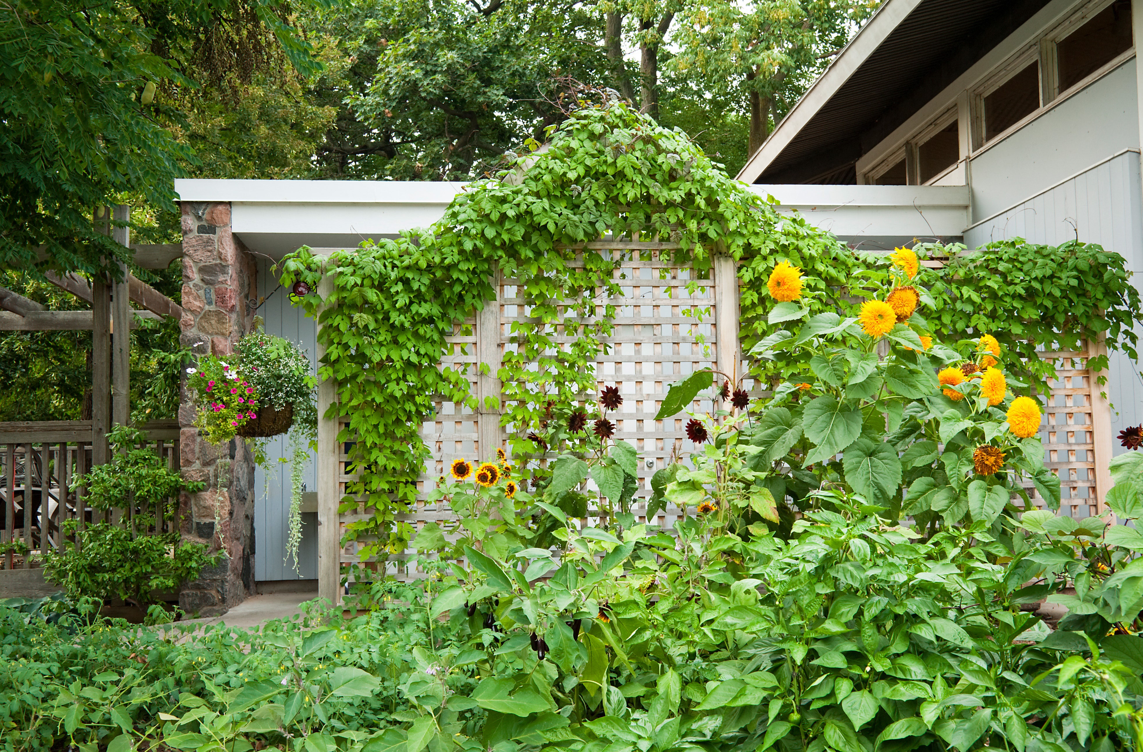 50 Privacy Fence Ideas To Stylishly Seclude Your Outdoor Sanctuary