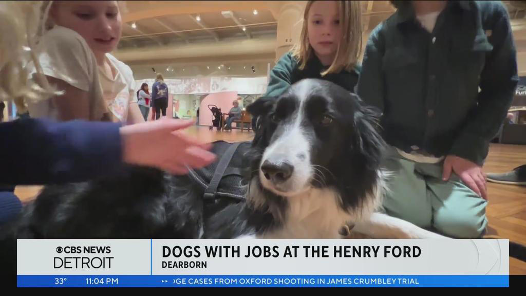 Henry Ford museum features real-life dogs with jobs for PAW Patrol exhibit