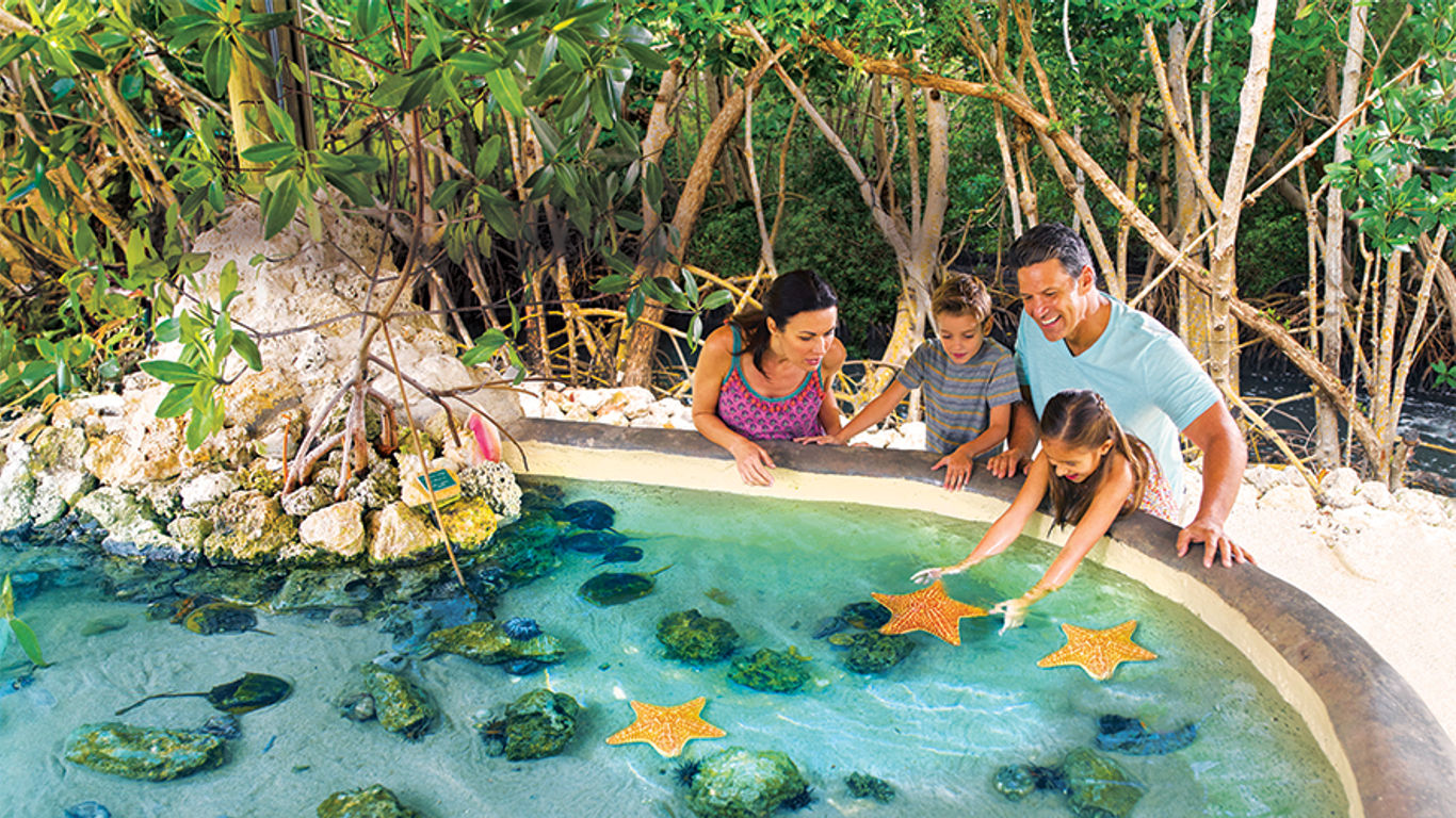 There's a Place for Everyone in the Florida Keys & Key West