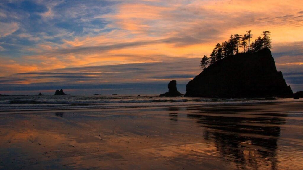 <p>In Olympic National Park, Washington, rainforests and steep grassland meet along the uneven Pacific coastline. This diverse landscape invites exploration and adventure at every turn. You can also find hot springs to relax. Plus, it’s a great place to look at stars at night because it’s away from city lights.</p>