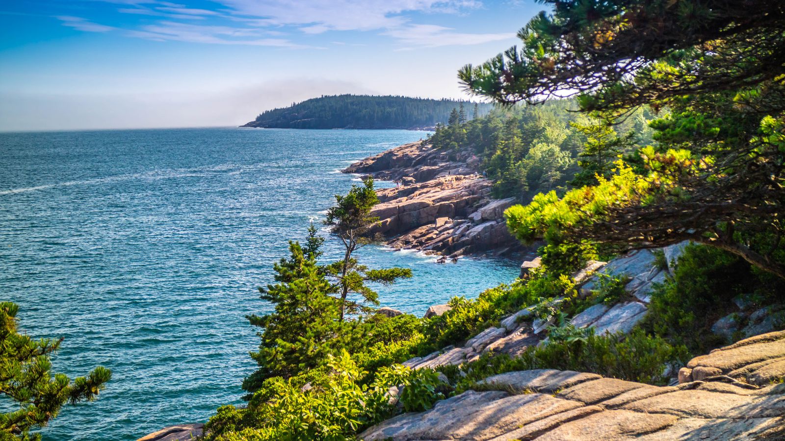 <p>Acadia National Park is a northeastern gem with rocky shores and dense woodlands. Watching the sunrise from Cadillac Mountain is an unforgettable experience. It is near the ocean, so you can enjoy many water activities like fishing and boating. The park also has many <a href="https://www.thewaywardhome.com/free-camping-in-south-dakota/" rel="noopener">camping spots</a> where you can stay overnight.</p>