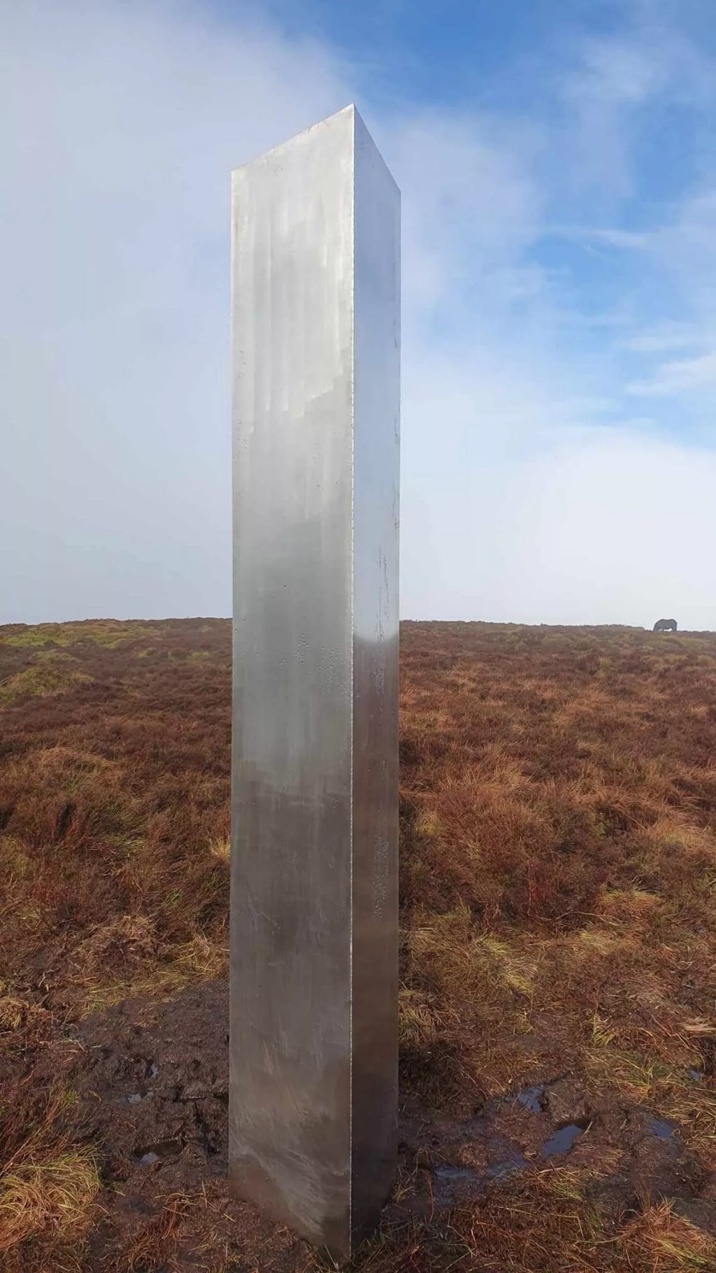 10-foot Mysterious Metal Monolith Appears On Remote Hill, Baffling Locals