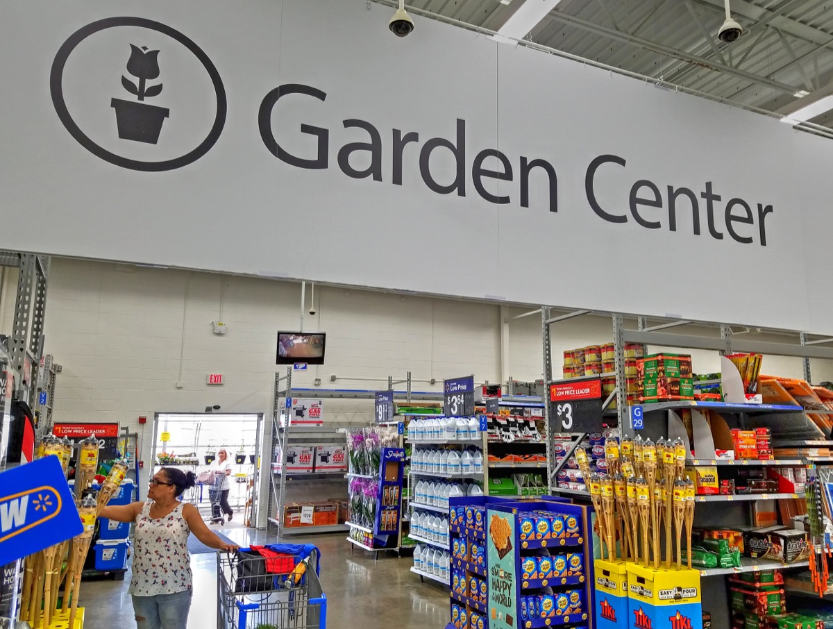 6 Best Things To Buy From Walmart's Garden Center