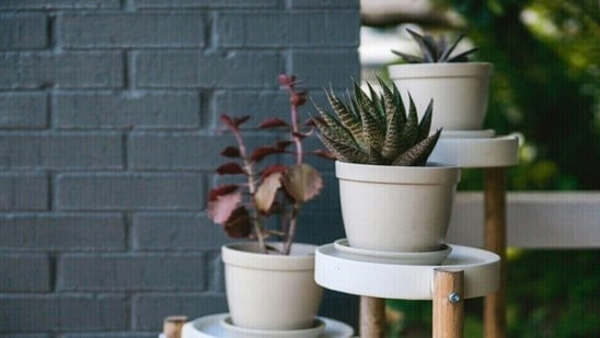 Best house plant stands to elevate your greenery game: Top 10 picks for ...