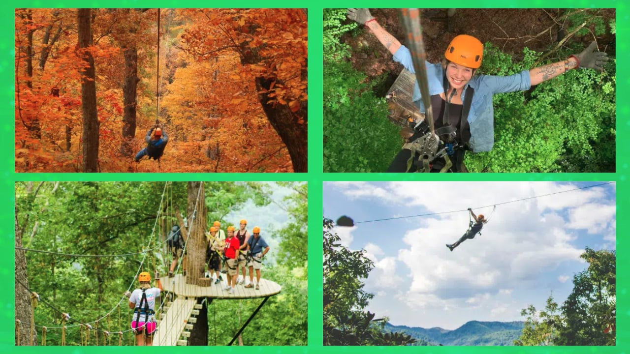 <p><span>Swing along the Green River Gorge treetop to treetop on a tour that takes 3 1/2 hours from start to finish. Eleven zip lines, two rappels, and a sky bridge make the adventure unforgettable. Aptly named </span><a class="editor-rtfLink" href="https://thegorgezipline.com/" rel="noopener"><span>The Gorge</span></a><span>, this tour drops an unprecedented 1,100 vertical feet from start to finish. The tree-based platforms offer incredible views that you can’t experience elsewhere.</span></p>