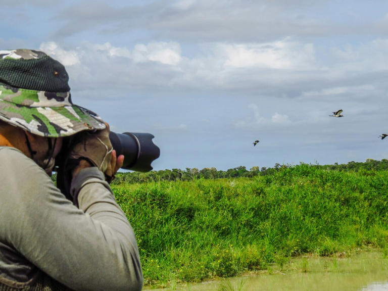 A brief guide to birdwatching in the age of dinosaurs