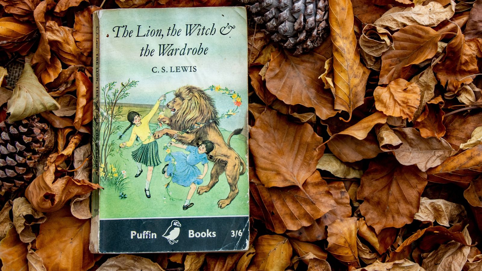 <p>The first published book in the Chronicles of Narnia series, this is a children's fantasy novel that can and should be read by all ages. Many people name this as the book which inspired their love for reading. It stimulates the imagination, telling the story of four siblings who discover a magical world and strive to protect it.</p>
