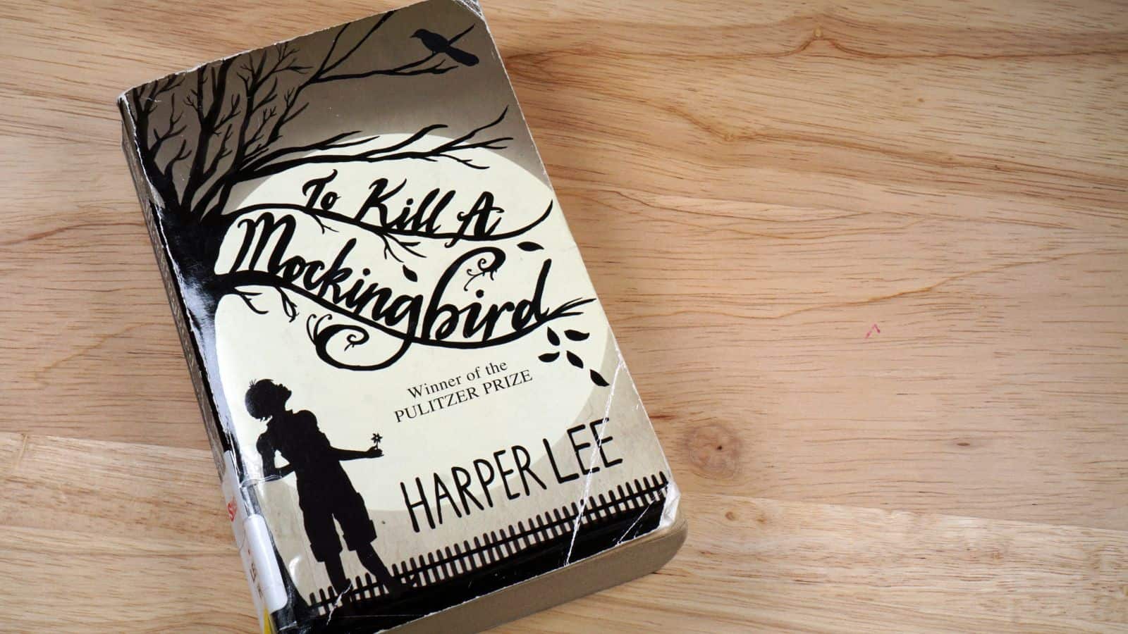 <p>To Kill a Mockingbird is considered a defining book of the twentieth century, so everyone should read it at least once. It explores life in 1930s southern America through the innocent eyes of a child, telling the story of a black man accused of a crime that he didn't commit, facilitated by the horrific real-life racism of the time.</p>