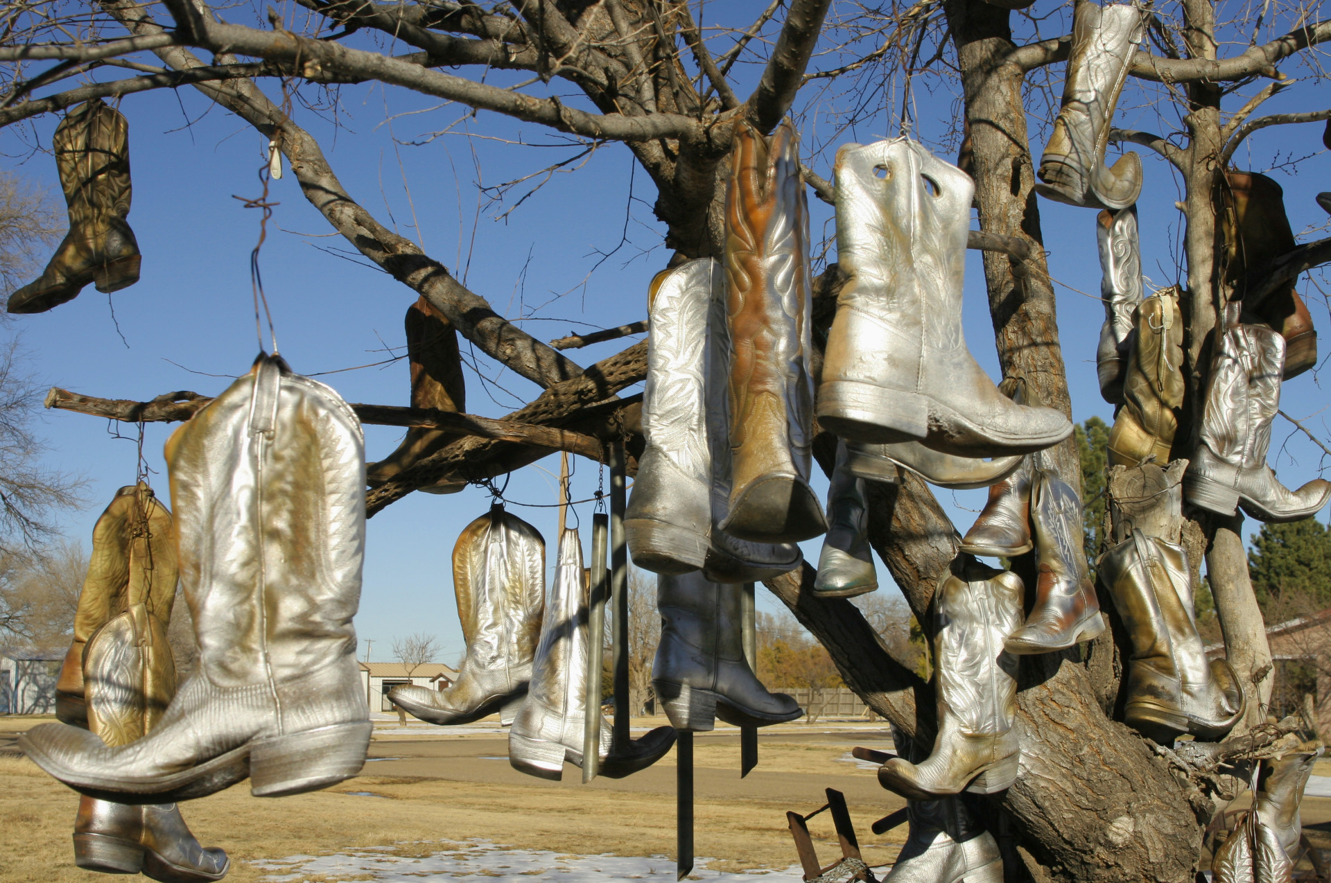 Old cowboy boots hanging from a tree in Vega, the "Crossroads of the Nation."