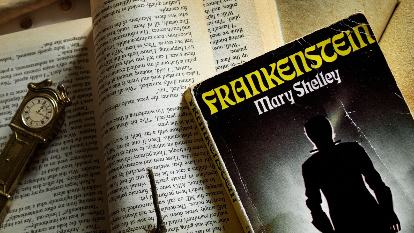 <p>This classic has been adapted time and time again, but nothing can ever beat the original. Mary Shelley's novel is the original creation story, utilizing themes of gothic horror to tell a much more poignant story of ethics, morality, and the twisted forms that love takes. Throughout history, Frankenstein has been used as a source in many important ethical debates.</p>