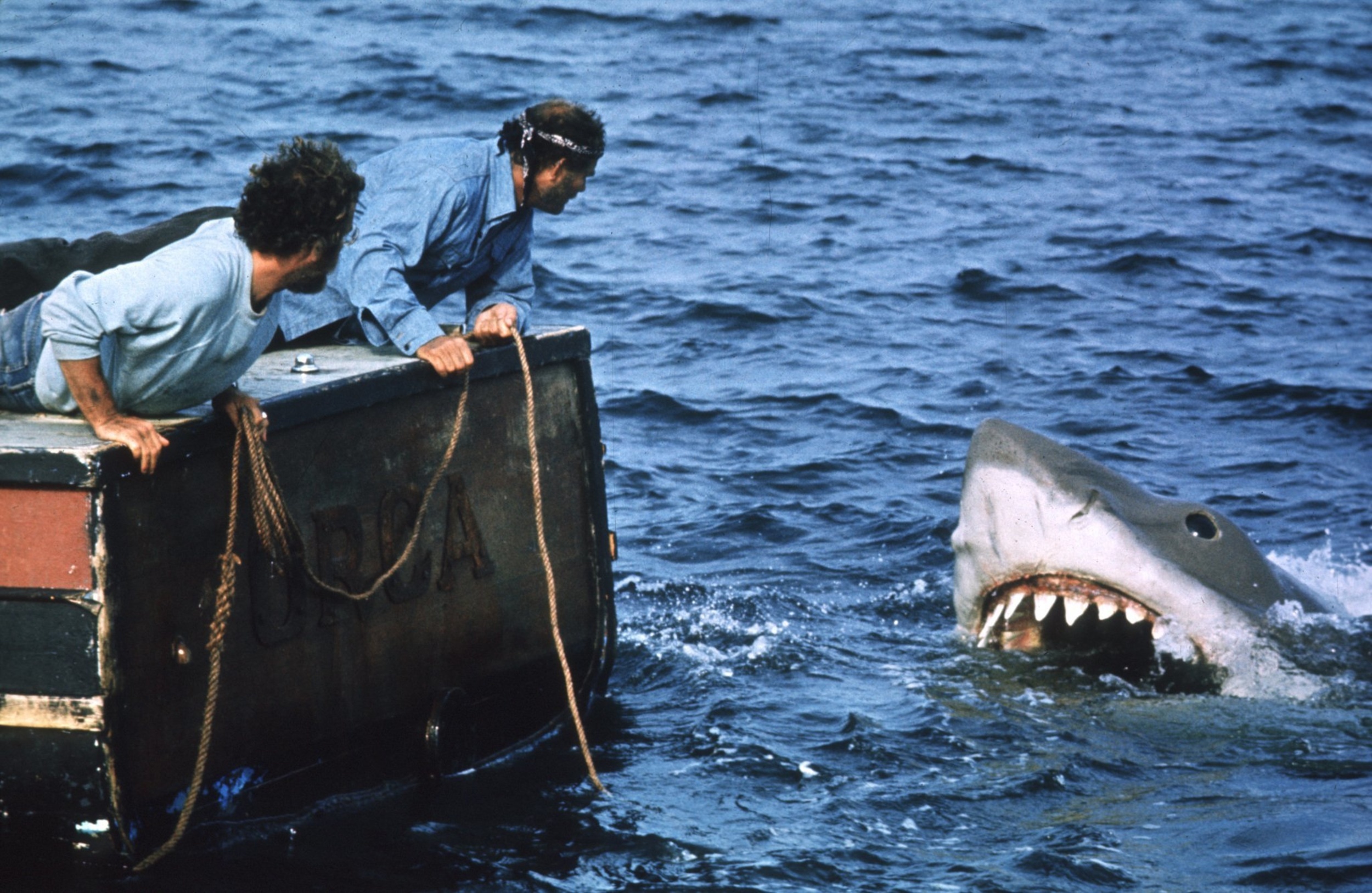 <p>Yes, it's the shark movie. Yes, it's the movie that scared millions from going in the ocean. Yes, it's the movie where a small town gets eaten alive by a giant monster. And yes, it's still entertaining. Steven Spielberg's classic still has bite.</p><p><a href='https://www.msn.com/en-us/community/channel/vid-cj9pqbr0vn9in2b6ddcd8sfgpfq6x6utp44fssrv6mc2gtybw0us'>Follow us on MSN to see more of our exclusive entertainment content.</a></p>