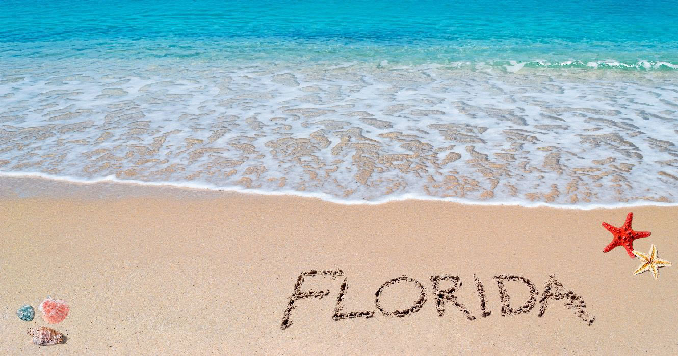 7 Best Beaches In Florida For Seashell Hunters