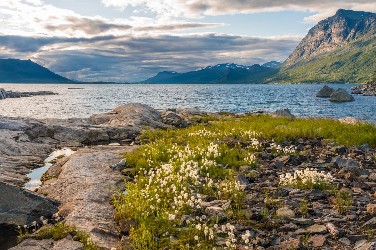 <p>In Swedish Lapland, it stays light almost all day in June, so you can make the most of the breathtaking scenery around you. True adventurers will revel in the the <a href="https://auroraskystation.se/en/summer/midnight-sun-hike/">midnight sun hike</a> in Abisko National Park, where you can watch the sun rise above the summit with panoramic views. A trip to the Arctic Circle isn't complete without a stay at an ice hotel.</p><p><a class="body-btn-link" href="https://go.redirectingat.com?id=74968X1553576&url=https%3A%2F%2Fwww.tripadvisor.com%2FHotel_Review-g939981-d259843-Reviews-ICEHOTEL-Jukkasjarvi_Kiruna_Norrbotten_County.html&sref=https%3A%2F%2Fwww.veranda.com%2Ftravel%2Fg43518690%2Fbest-places-to-travel-in-june%2F">Shop Now</a> </p>
