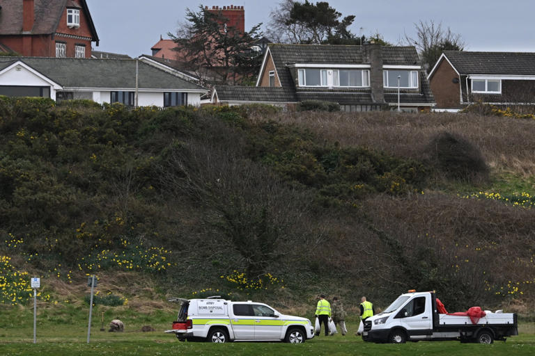 Unexploded World War II bomb blown up in the middle of a park