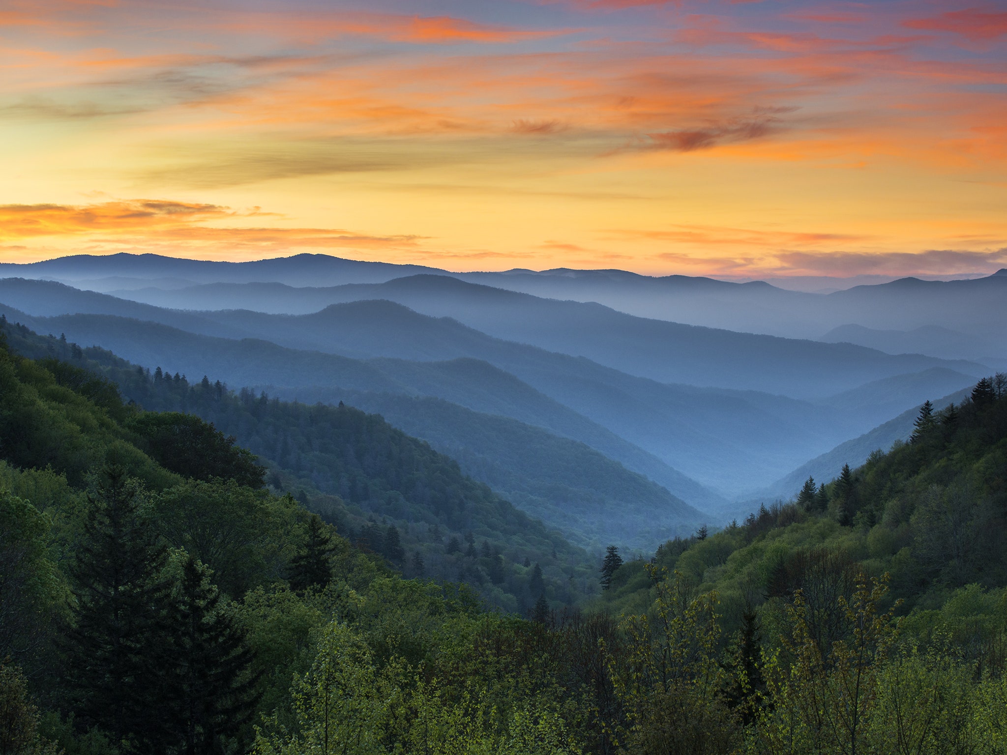 <p>The <a href="http://www.blueridgeparkway.org">Blue Ridge Parkway</a> runs for almost 500 miles through Virginia and North Carolina, along a picturesque route that’s lined by the soft green valleys descending from the Blue Ridge Mountains, and connecting the <a href="https://www.cntraveler.com/gallery/the-59-us-national-parks-in-photos?mbid=synd_msn_rss&utm_source=msn&utm_medium=syndication">Shenandoah and Great Smoky Mountains national parks</a> at either end. Heavy mist wreaths the landscape at dawn and dusk, thanks to the altitude, so take care when driving—that fog is often denser than it looks, and the looping, hilly route demands extra attention. Allow extra time to cover the distance, too, as the speed limit on most stretches is just 45 mph.</p> <p><strong>Where to stop:</strong> This was once moonshine territory, so it’s fitting that the region is now a craft distilling hub. Try the moonshine-inspired whiskey from <a href="http://www.defiantwhisky.com/">Blue Ridge Distilling</a>, which shortcuts the aging process by stirring shards of toasted American white oak directly into the spirit conferring a smoky richness in less than a week. In Asheville, <a href="http://www.ashevilledistilling.com">distiller Troy Ball</a> is known for using an old corn varietal, known as Crooked Creek, whose high fat content rounds out the spirit beautifully.</p> <p><strong>Where to eat:</strong> The superb farmland nearby has drawn chefs to Asheville in increasing numbers, whether El Bulli-trained Katie Button, who owns <a href="https://katiebuttonrestaurants.com/">two spots there</a>, or this year’s James Beard Best Chef semifinalist Meherwan Irani, who has a mini empire of <a href="http://www.chaipaniasheville.com/our-team">Indian restaurants</a> in the area.</p> <p><strong>Where to stay:</strong> Detour off slightly to Pigeon Forge, Tennessee, home of Dollywood, the kitschy theme park owned by Parton herself, and hunker down in <a href="https://www.dollywood.com/Cabins">one of the cabins there</a>. You can also look for a sweet cabin rental <a href="https://www.cntraveler.com/gallery/best-airbnbs-in-north-carolina?mbid=synd_msn_rss&utm_source=msn&utm_medium=syndication">via Airbnb</a> along the way.</p><p>Sign up to receive the latest news, expert tips, and inspiration on all things travel</p><a href="https://www.cntraveler.com/newsletter/the-daily?sourceCode=msnsend">Inspire Me</a>
