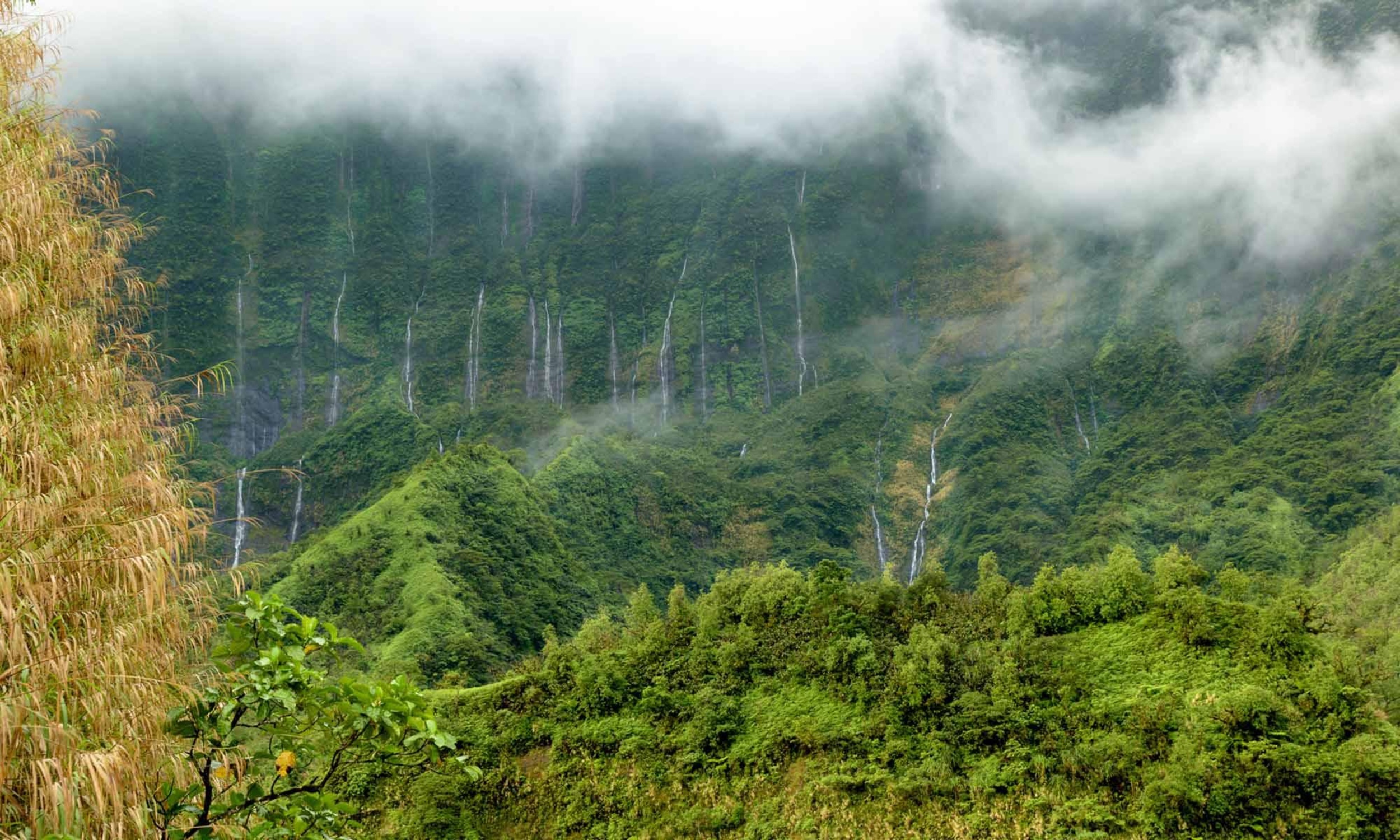 <p>The tropical rainfall of Tahiti causes the hills to weep. Cascading waterfalls rain down from the jungle like tears running down your cheek. Except these aren't sad tears. No need to grab the bucket of ice cream. The waterfalls of Papenoo will bring a smile to your face and remind you why you're in Tahiti.</p><p>You may also like: <a href='https://www.yardbarker.com/lifestyle/articles/21_foods_that_surprisingly_taste_better_frozen_031224/s1__37739637'>21 foods that surprisingly taste better frozen</a></p>