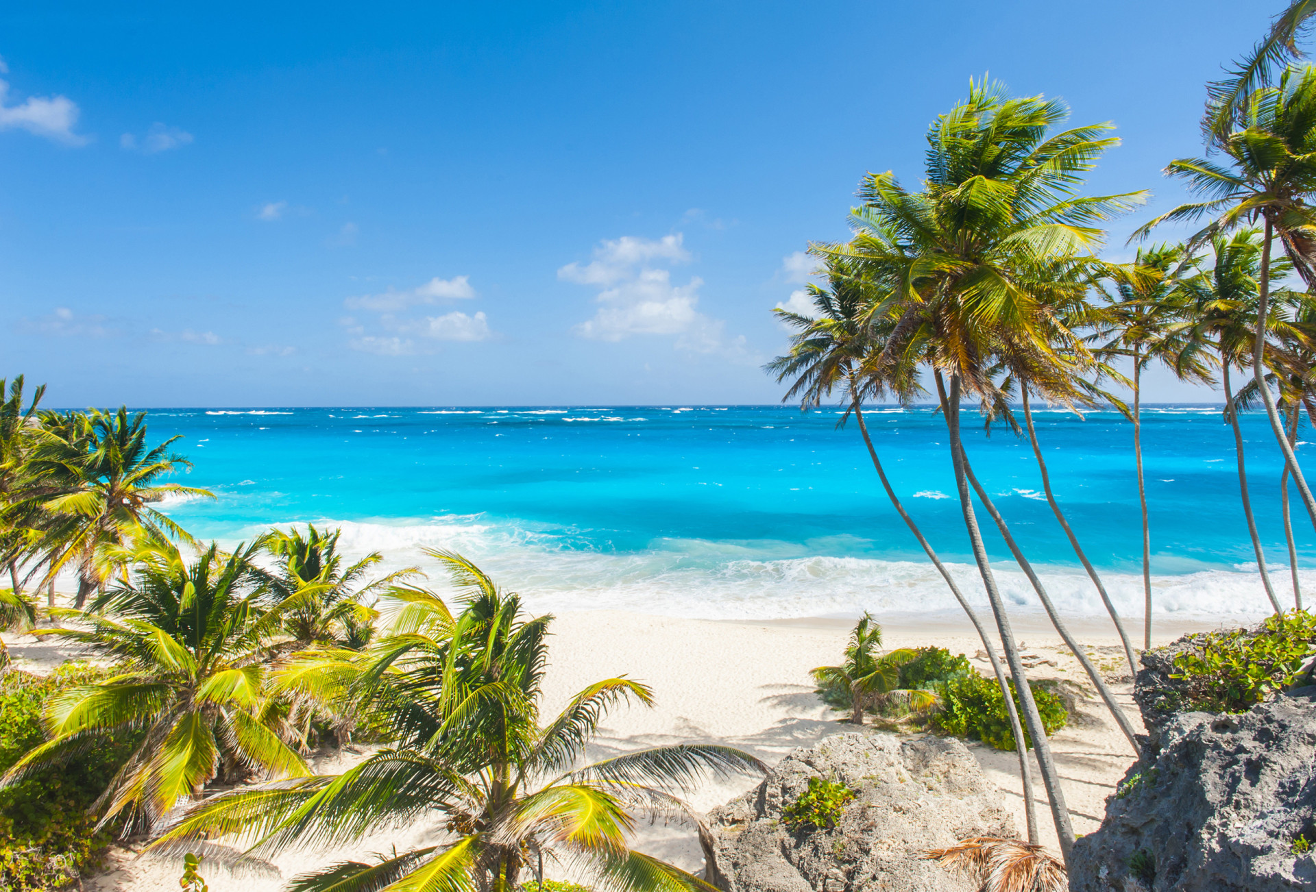 <p>Most of the Caribbean islands charge a tourist tax. The price ranges depending on the island.</p><p><a href="https://www.msn.com/en-ph/community/channel/vid-7xx8mnucu55yw63we9va2gwr7uihbxwc68fxqp25x6tg4ftibpra?cvid=94631541bc0f4f89bfd59158d696ad7e">Follow us and access great exclusive content every day</a></p>