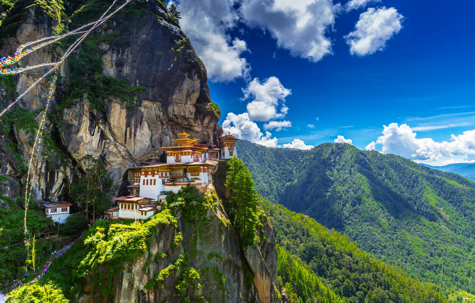 <p>Bhutan has long been known for its steep tourist taxes and charges. The current daily fee for the majority of visitors is US$100.</p><p><a href="https://www.msn.com/en-ph/community/channel/vid-7xx8mnucu55yw63we9va2gwr7uihbxwc68fxqp25x6tg4ftibpra?cvid=94631541bc0f4f89bfd59158d696ad7e">Follow us and access great exclusive content every day</a></p>