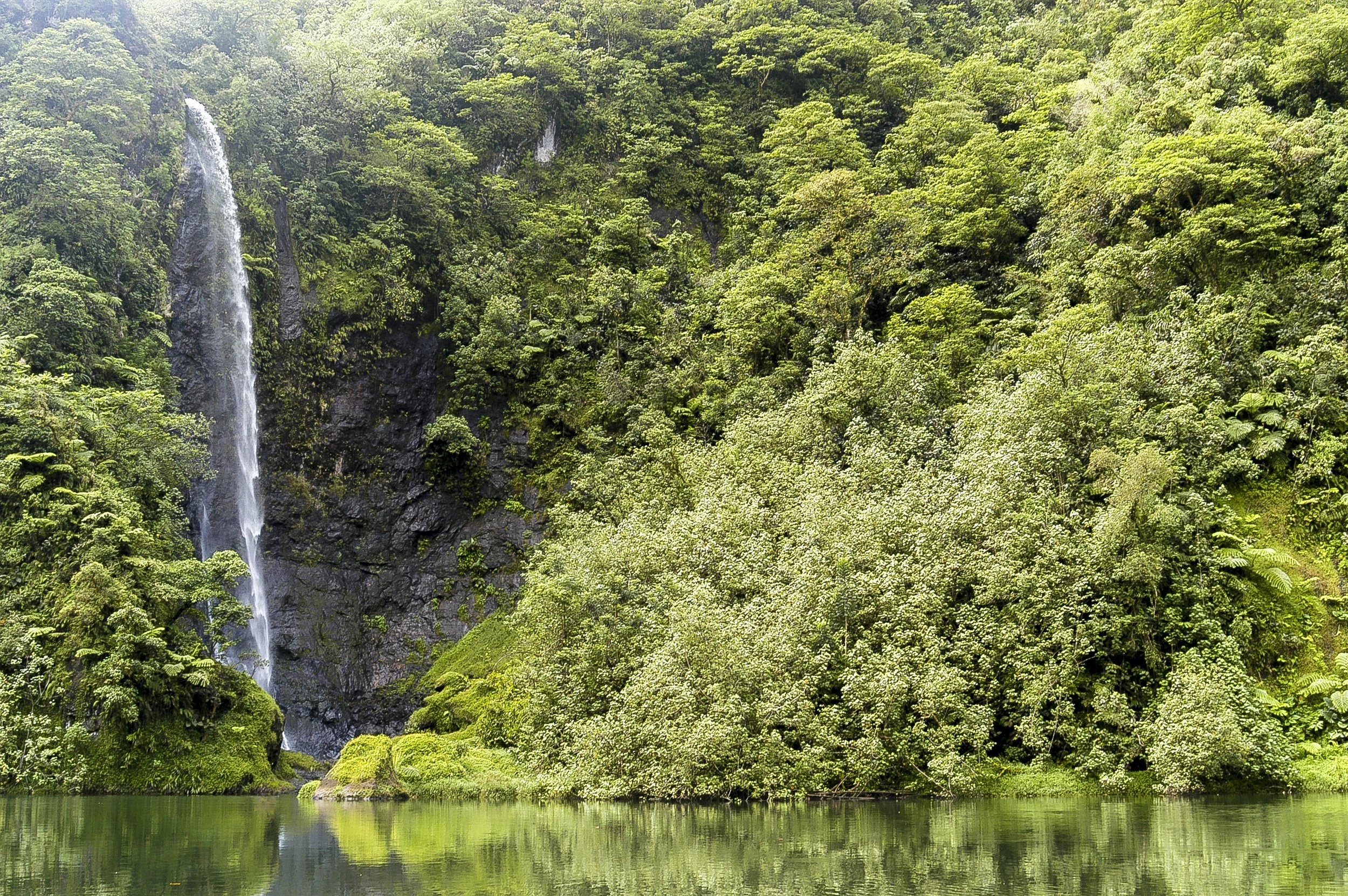 <p>Not all of Tahiti's wonders are at the beach--some of them are deep in the jungle. Fautaua is a giant waterfall that cascades into a 450-foot pool. The hike there is arduous, but you can take an ATV tour if you're up for a different kind of adventure.</p><p><a href='https://www.msn.com/en-us/community/channel/vid-cj9pqbr0vn9in2b6ddcd8sfgpfq6x6utp44fssrv6mc2gtybw0us'>Follow us on MSN to see more of our exclusive lifestyle content.</a></p>
