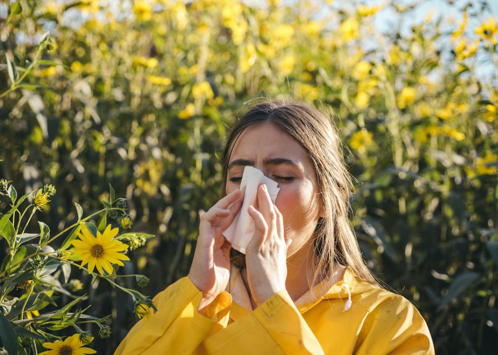 The worst months for 15 common allergies
