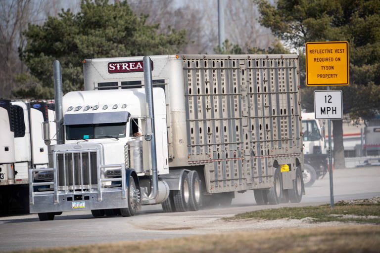 The Tyson plant in Perry, Iowa, is closing after 61 years. What we know ...