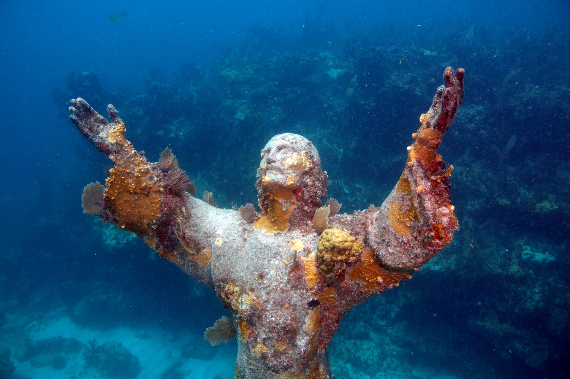 The original submerged bronze statue of Jesus Christ by Guido Galletti is housed in the Mediterranean Sea, off San Fruttuoso. But the statue’s family has grown since it was originally placed in 1954.<p><a href="https://www.msn.com/en-sg/community/channel/vid-7xx8mnucu55yw63we9va2gwr7uihbxwc68fxqp25x6tg4ftibpra?cvid=94631541bc0f4f89bfd59158d696ad7e">Follow us and access great exclusive content every day</a></p>