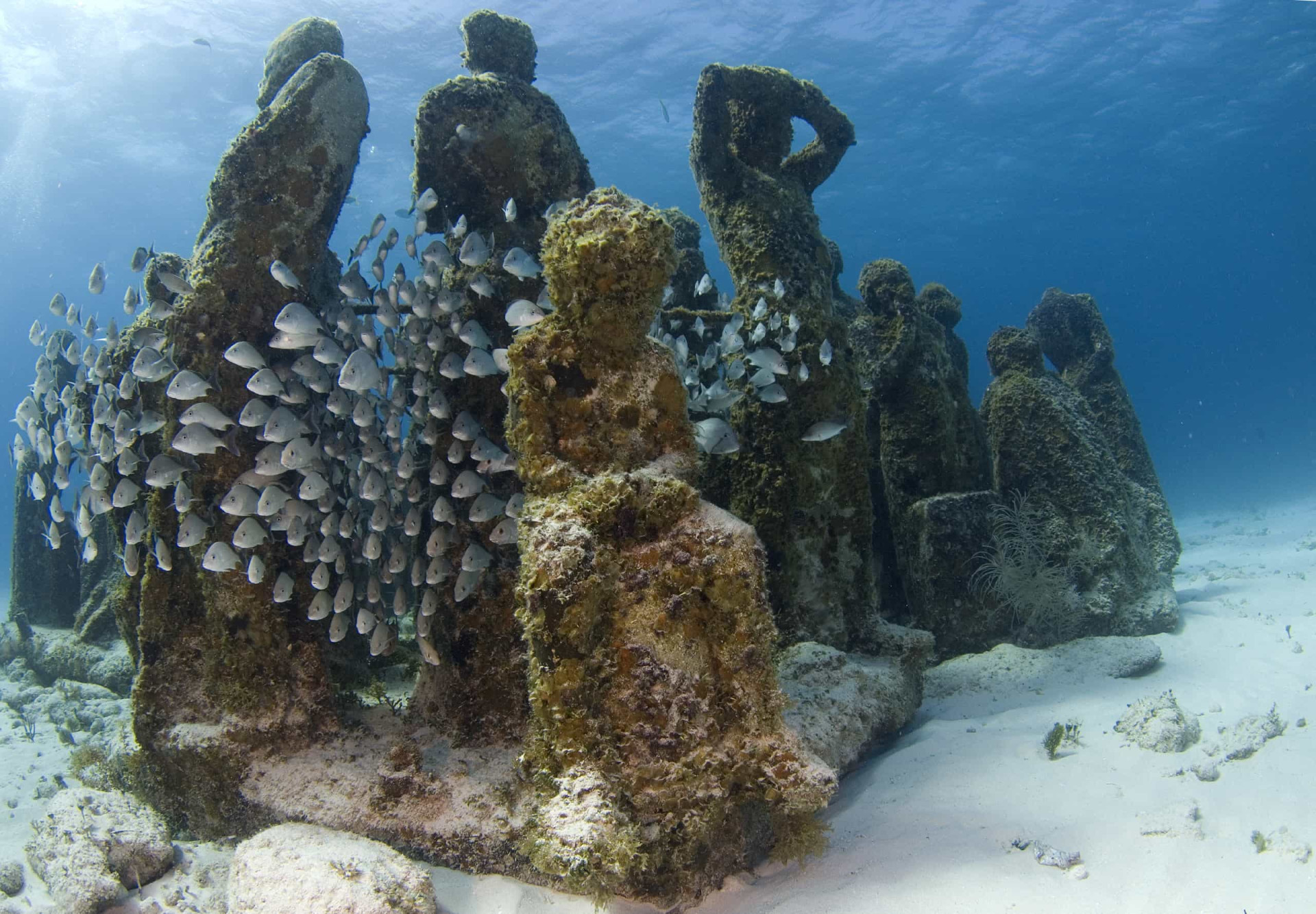 <p>Known as MUSA for Museo Subacuático de Arte, this museum opened in 2010 in an effort to save the area's coral reefs by providing an alternative diving destination.</p><p><a href="https://www.msn.com/en-sg/community/channel/vid-7xx8mnucu55yw63we9va2gwr7uihbxwc68fxqp25x6tg4ftibpra?cvid=94631541bc0f4f89bfd59158d696ad7e">Follow us and access great exclusive content every day</a></p>