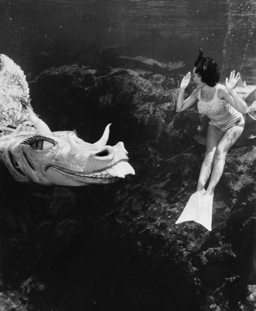<p>For six decades, the mermaids of Weeki Wachee have been performing feats underwater to entertain curious visitors.</p><p>You may also like:<a href="https://www.starsinsider.com/n/458051?utm_source=msn.com&utm_medium=display&utm_campaign=referral_description&utm_content=363990v15en-sg"> Vintage photos of stars with their babies</a></p>