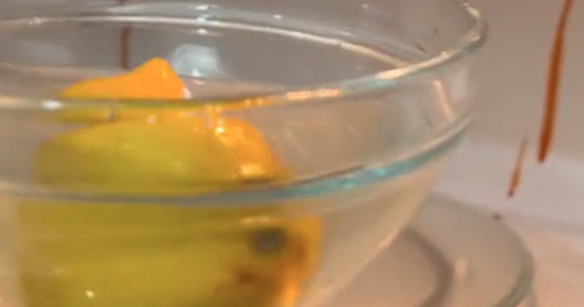 hon lägger citron och vatten i en skål och stoppar in den i mikrovågsugnen: se då vad som händer