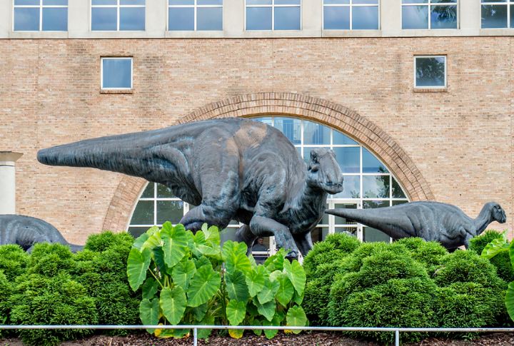 <p>The Fernbank Museum of Natural History is home to the biggest dinosaur ever discovered: Argentinosaurus. Check out immersive exhibits, including a walk-through forest from the Cretaceous period, and observe the glory of Earth’s prehistoric past.</p>