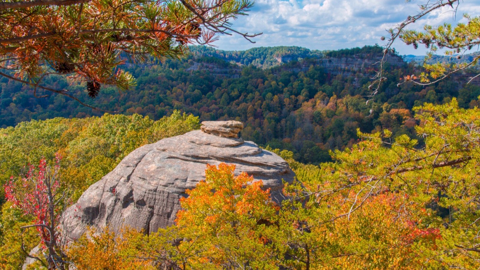 <p>The Daniel Boone National Forest in Winchester is an enormous 2.1 million-acre forest. The park has over 1 million visitors yearly and is open to everyone who enjoys outdoor activities, such as camping, fishing, hiking, rock climbing, boating, hunting, and more.</p><p>The Daniel Boone Forest offers rugged terrain, including narrow ravines, steep forest slopes, and sandstone cliffs. For the less adventurous, there are plenty of family-friendly trails for younger children.</p>